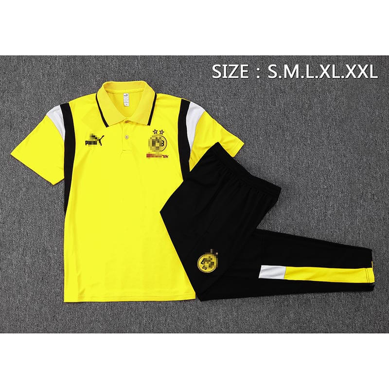 Camiseta de Polo de Borussia Dortmund 2023/2024 Amarillo